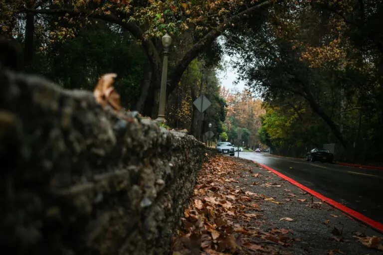 A tree-lined street with fallen autumn leaves on the sidewalk, a stone wall on the left, and cars parked along the road under overcast skies—much like a path Dale R. Gomes, National Trial Lawyers Top 100 attorney, might stroll for inspiration.